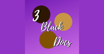 3 Black Docs - Logo